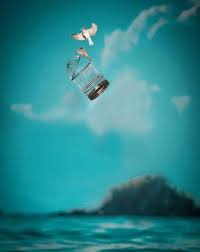 Picsart Editing Hd Cb Background 2021 Full Hd Background Png Images Best Background Images Blurred Background Photography Editing Background