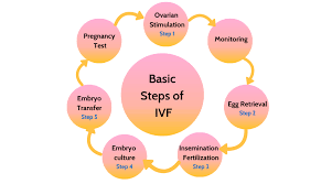 Ask for detailed information about the costs associated with each step of the procedure. Ivf Treatment In India In Vitro Fertilization Ivf A Planned By Magnus Medi Medium