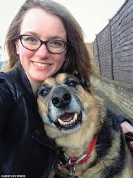 Video shows Christmas-loving dog's desperate bid for second Advent calendar  treat