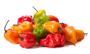 Add to any and all favorite mexican food dishes such as enchiladas, tacos, quesadillas, tostados and burritos. The Tale Of Two Peppers Scotch Bonnet And Habenero Boston Jerkfest