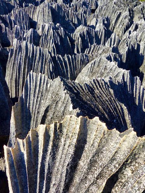 Madagascar: Tsingy de Bemaraha NP – Peтιтe Tsingy – Travel2Unlimited