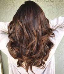 Along with her pup, her shiny brown hair colour was also something that caught most people's attention. Vibrant Chocolate Hues Remain In The Mainstream From Season To Season No Wonder They Are Of The Same Importance To Br Mocha Color Hair Hair Styles Mocha Hair