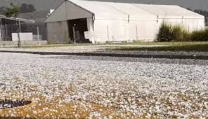 Maybe you would like to learn more about one of these? Granizo E Chuva Intensa Provoca Estragos Em Vinhas Do Douro Veja As Imagens Atualidade Correio Da Manha