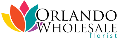 We did not find results for: Orlando Wholesale Florist