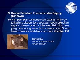 We did not find results for: Hewan Dan Jenis Makanannya Ppt Download