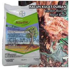 Baja organik pokok durian belanda sakit. Kawalan Penyakit Durian Kanker Batang Reput Buah A L I E T T E 250g 1kg Shopee Malaysia