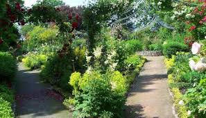 | ausstellung des verbands der botanischen gärten. Rosarium Wilhelmshaven Aktuelle 2020 Lohnt Es Sich Mit Fotos