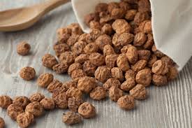 Image result for Buchnera nuttii