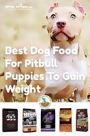 It contains high quality protein that helps with a puppy's physical development. Best Dog Food For Pitbull Puppies To Gain Weight And Muscle November 1 2020