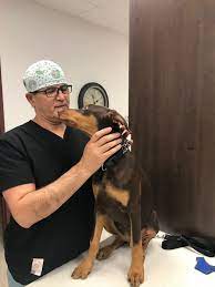 We did not find results for: Vellore Woods Veterinary Clinic Full Service Animal Hospital Veterinarian Serving Vaughan Maple Woodbridge Concord Kleinburg Thornhill Richmond Hill And Greater Toronto Area On
