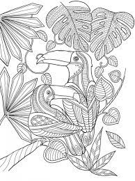 We did not find results for: Freebie Toucan Coloring Page Stamping