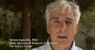 Scientist Ellen Graber and the Potentials of Biochar — THE DESERT and the  CITIES SING