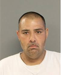 ᐅ Illinois Criminal Records 2009-2025