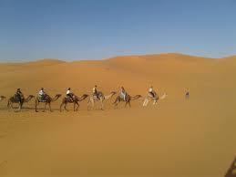 The sky is vast and clear in the day and filled with millions of bright stars at night. Sunrise Camel Trekking In Merzouga Desert Erg Chebbi Camel Tours 4x4