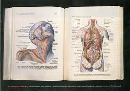 However, if one is squeamish about seeing photos of dissections of human anatomy, then don't look at this book. The Morbid History Of The Nazi S Banned Anatomy Book Gq
