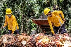 Lowongan kerja pt ici paints indonesia (akzonobel indonesia) akzonobel adalah perusahaan cat dan pelapis terbesar di dunia, dan produsen utama untuk bahan kimia. Berita Terbaru Headline Astra Agro Lestari