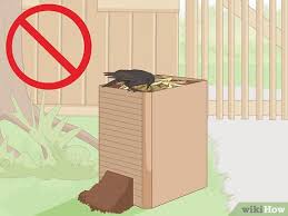 Now, that's a lot of free rock. How To Get Rid Of Crows 15 Steps With Pictures Wikihow