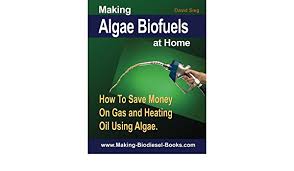 Save money on gas while driving. Making Algae Biofuels How To Save Money On Gas And Heating Oil Using Algae Sieg David N 9781477417492 Amazon Com Books
