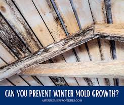 If You Re Like Many People You Know That Mold Spores Are Everywhere They Re Floating Around Outside We Track Them In On Ou Mold On Wood Kill Black Mold Wood