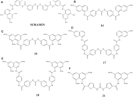 Image result for Suramin