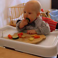 Teller, wärmeteller, babyteller, blw, beikost. Teller Besteck Das Richtige Zubehor Fur Baby Led Weaning