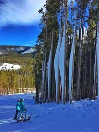 Maybe you would like to learn more about one of these? Do You Think It Gets Windy At Snowy Range Ski Area Sometimes Ski Area Wyoming Natural Landmarks
