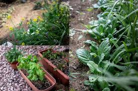 Besitzen sie zudem noch das richtige gespür für pflanzen und deren pflege, steht der einrichtung eines eigenen japan gartens eigentlich nichts. Der Japanische Garten Von Ryusei In Japan