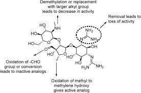 Image result for Streptomycin