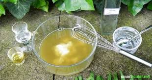Gegen Dieses Okologische Mittel Haben Blattlause Keine Chance Garten Garten Pflanzen Schadlinge Im Garten