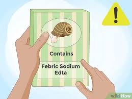 Put the slugs and snails you find into a container. 3 Ways To Get Rid Of Snails Wikihow