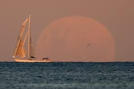 An estimated 20 million people saw the moon completely cover the sun within a. Geztpkspidgvlm