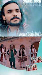 Dilawer Rehman: Sultanidholi Performance Highlights