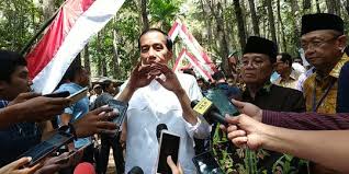 Pohon manggis banyak ditemui di asia tenggara. Cara Mengolah Kulit Manggis Kering Dan Segar Untuk Konsumsi Sehari Hari Merdeka Com