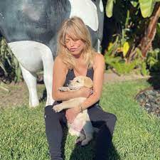 430,530 likes · 436 talking about this. Goldie Hawn Goldiehawn Instagram Photos And Videos