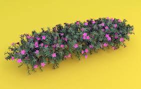 Garden Flowers Free 3d Model Flowers 3d Model Garden