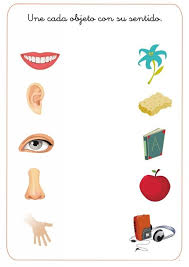 Match 5 Senses Worksheet For Kids 5 Crafts And Worksheets For Preschool Toddler And Kindergarten Senses Preschool Preschool Worksheets Worksheets For Kids