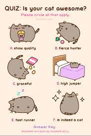 Quiz Is Your Cat Awesome Pusheen Pusheen Cat Crazy Cats