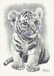 elif sena adli kullanicinin black and white drawings panosundaki pin hayvan bebekler hayvan eskizleri cilgin disi kedi