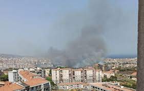 Per questo l'incendio, quasi certamente doloso, che ieri pomeriggio ha distrutto o. Ruow1dsgctlghm