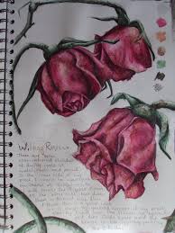Pin By Stephanie Felts On Sweet Tattoos Roses Drawing Rose Drawing Wilted Rose