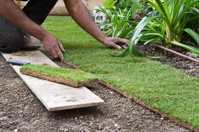 Install Artificial Grass & Save | California Turf Rebate Program