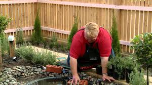 Witch hazels are small trees and large shrubs, often with a typically horizontal structure. How To Create A Water Garden Diy At Bunnings Youtube