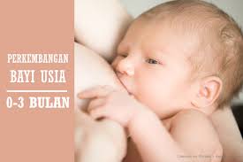 Buah hati anda kini sudah menginjak usia ke 2 bulan, yang mana kini sebutan untuknya bukan lagi bergelar bayi baru lahir. Tahapan Perkembangan Bayi Usia 0 3 Bulan Mamapapa Id