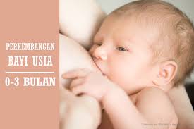 Tahapan tumbuh kembang bayi 2 bulan berikut ini bisa memberi bunda dan ayah gambaran sejauh mana perkembangan yang dicapai bayi dalam usia ini. Tahapan Perkembangan Bayi Usia 0 3 Bulan Mamapapa Id