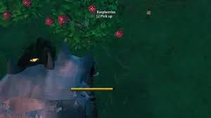 Valheim How To Plant Berries In 2021 Types Of Berries Biomes Berries