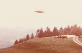 Browse 14,978 ufo stock photos and images available, or search for alien or vintage ufo to find more great stock photos and pictures. Famous X Files Ufo Photographs To Sell At Sotheby S