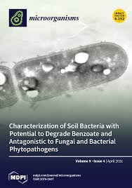 • worldwide system internet • • network of networks many service providers • network of networks www • • rides on top of. Microorganisms April 2021 Browse Articles