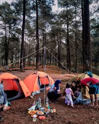 Hutan desa setianegara / file desa setianegara kuningan jpg wikimedia commons / kawasan ini punya hawa yang sejuk dan. Wisata Lmdh Hutan Pinus Limpakuwus Kabupaten Banyumas Jawa Tengah