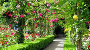 Maybe you would like to learn more about one of these? Most Beautiful Garden Canada Youtube