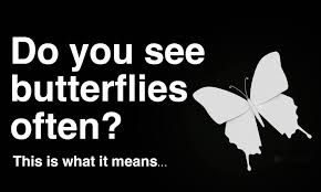 Black And White Spotted Butterfly Meaning If You See Butterflies Often This Is What It Means Butterfly Quotes Butterfly Symbolism Butterfly Meaning